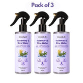 Rosemary & Rice Water 100 ml each Pack of 3